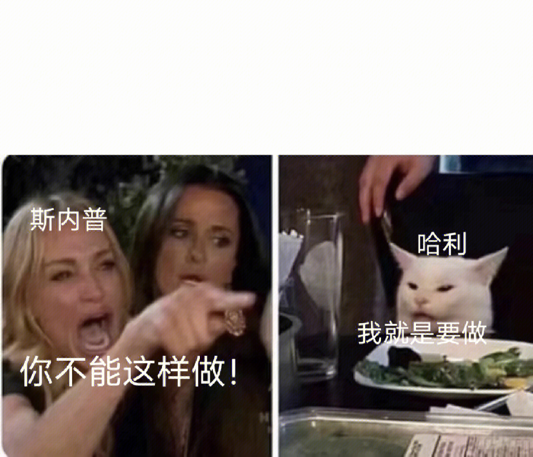 一些meme#哈利波特#hp#hp表情包#哈利波特表情包