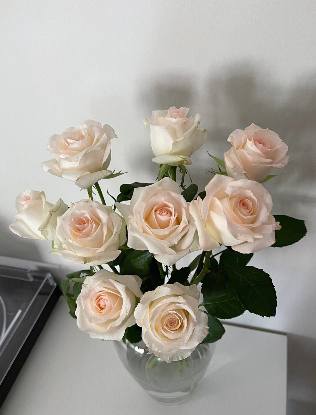 周六又收花啦!小白兔玫瑰自帶仙氣,戴安娜玫瑰粉粉嫩嫩的太美了