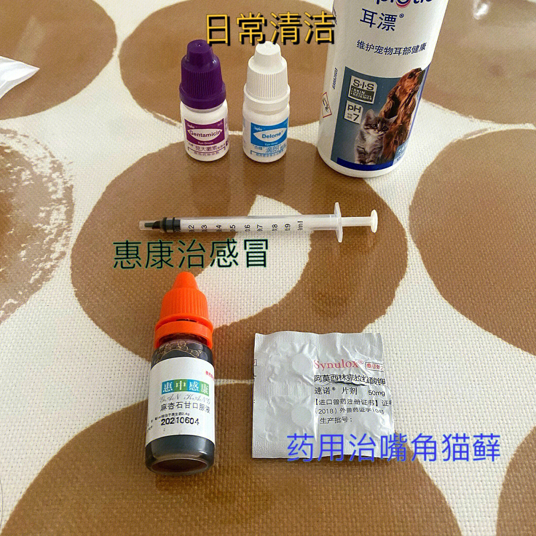 猫嘴上长猫藓怎么办图片