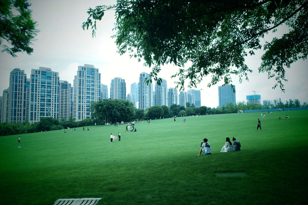 重庆中央公园介绍图片