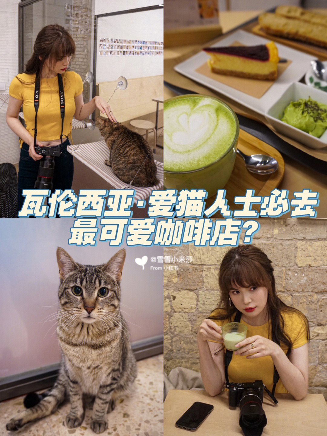 瓦伦探店打卡最可爱猫咪咖啡馆