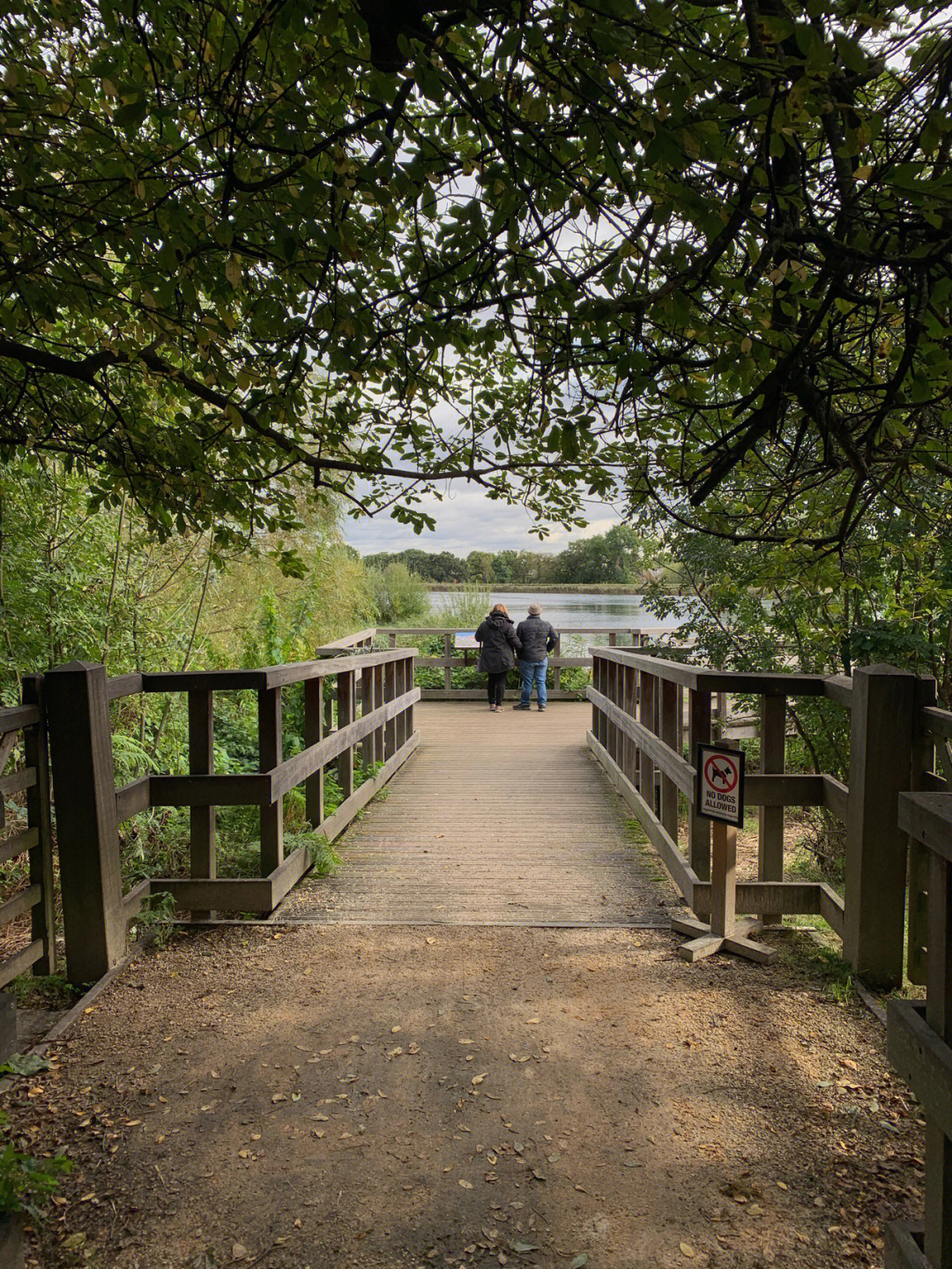 伦敦湿地公园案例分析图片
