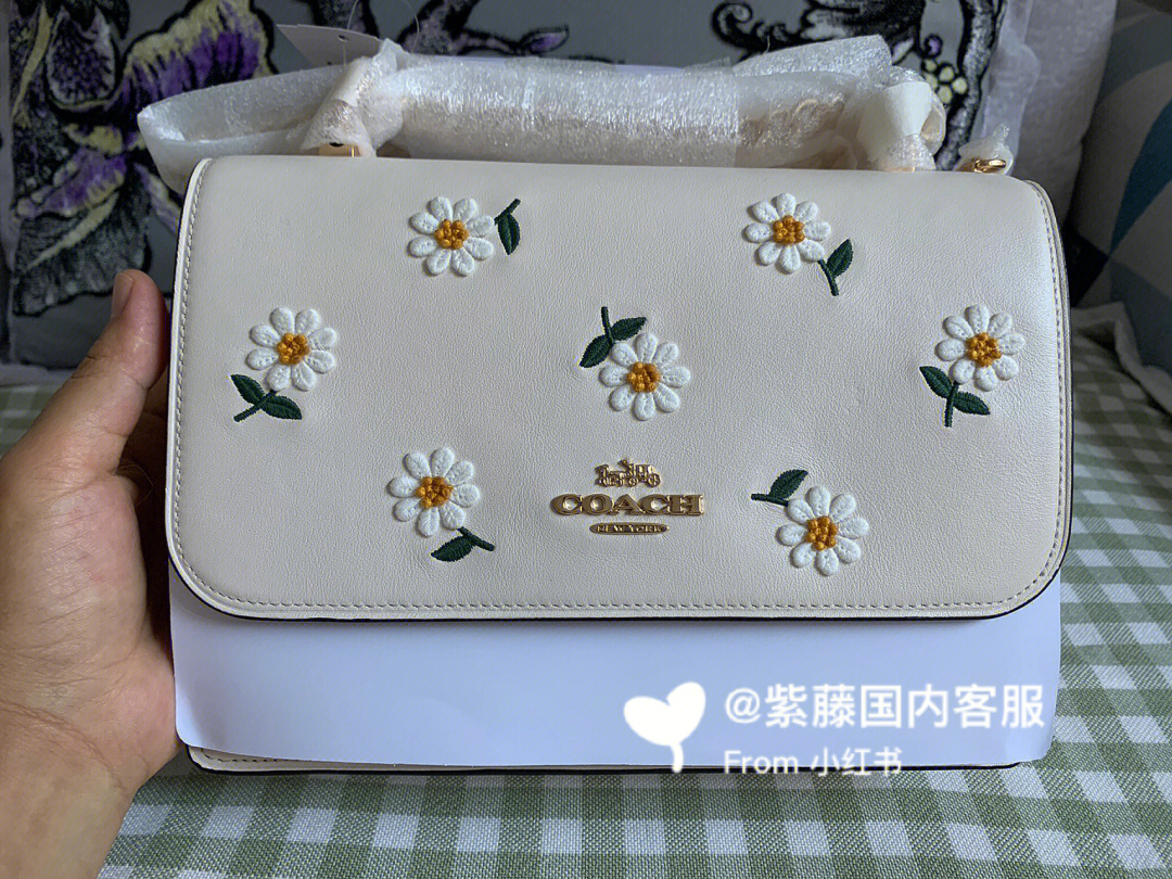 coach4月新品小雏菊图片