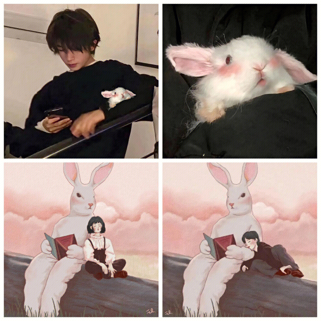 帅哥抱兔子情头图片
