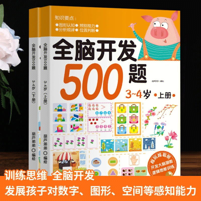 畅销10年好ping如潮993-6岁儿童全脑开发训练游xi书《全脑开发500