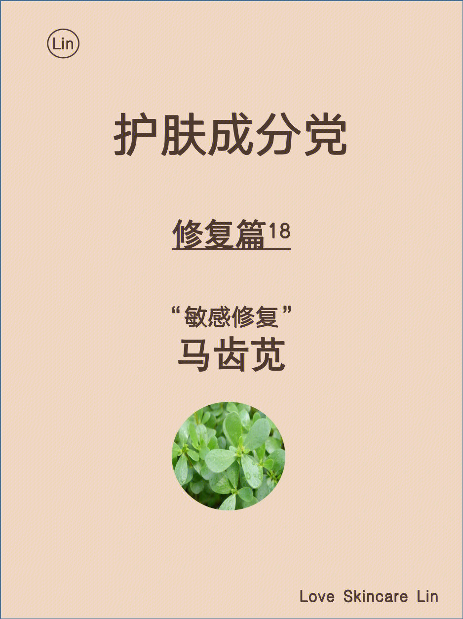 苋认识一下16615认识马齿苋马齿苋,起源于印度,是一年生草本植物