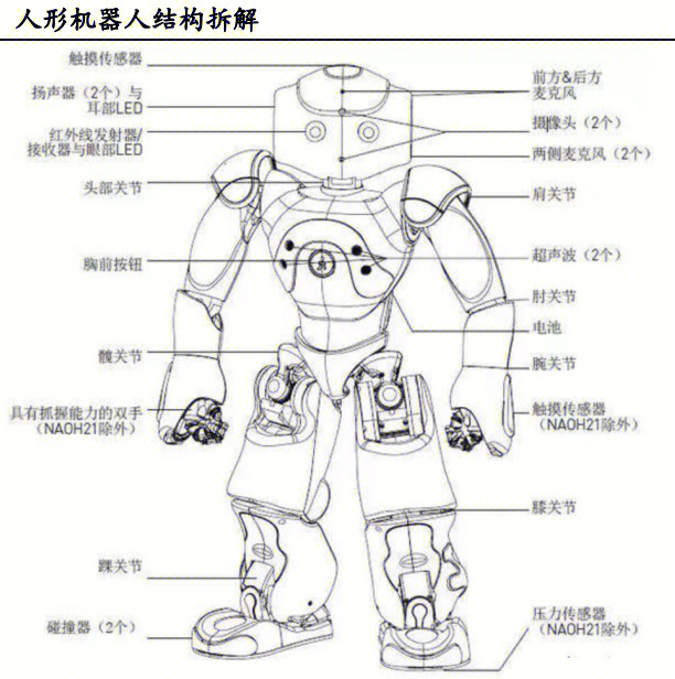 机器人的介绍图片