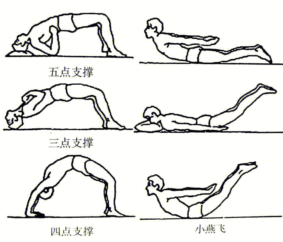 腰间盘突出复位图解图片