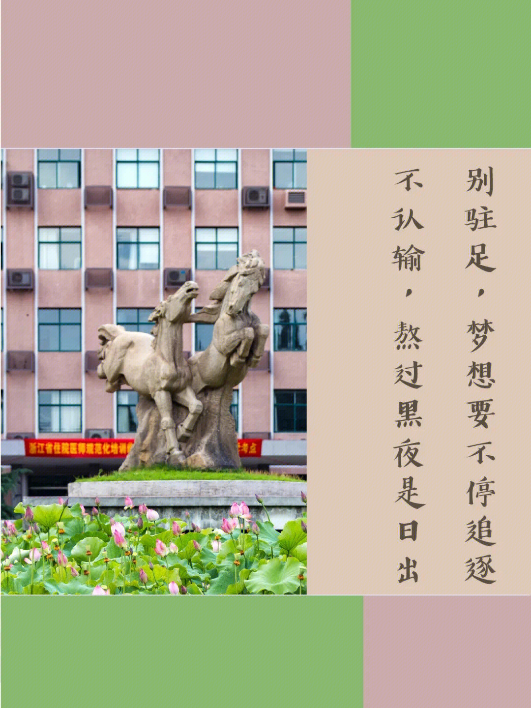 浙江大学 励志图片