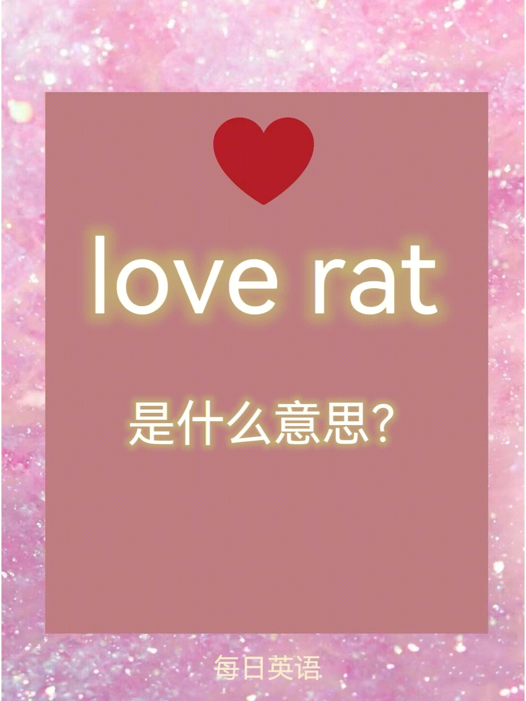 每日英语loverat想到小猪你就知道了