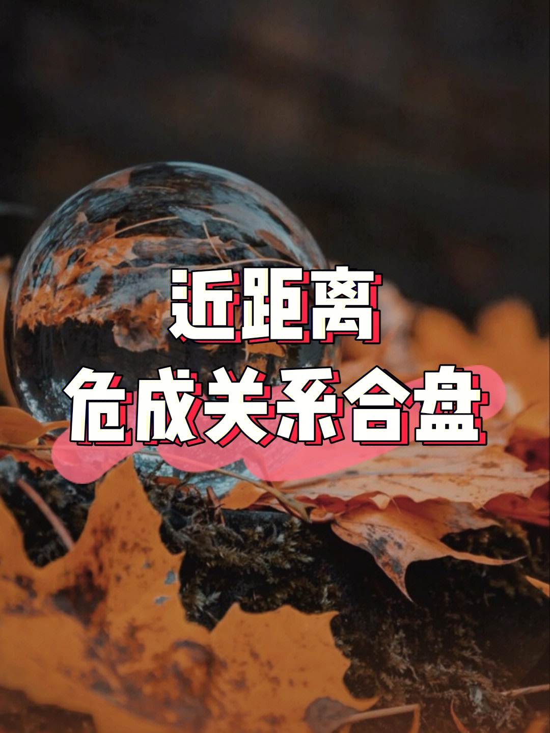 危成关系图片