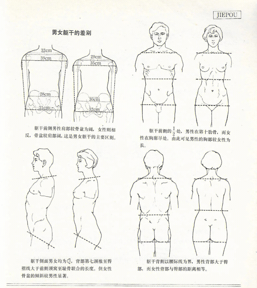 人体造型基础沈兆荣