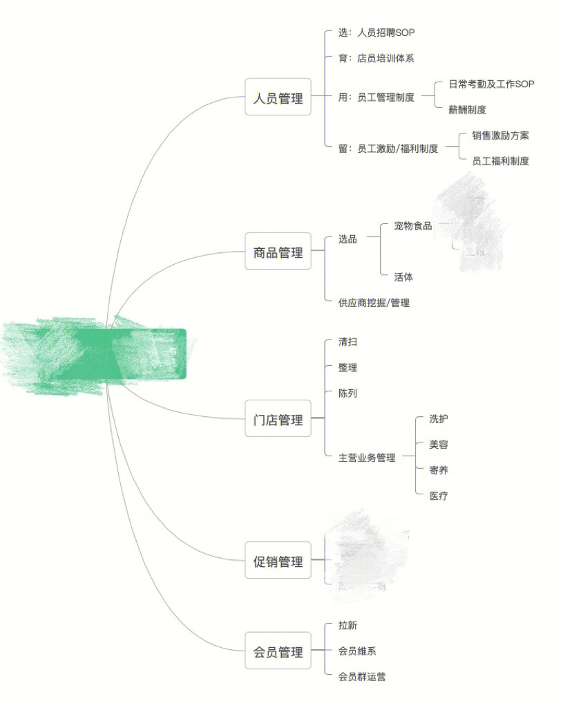 宠物公司的组织结构图图片