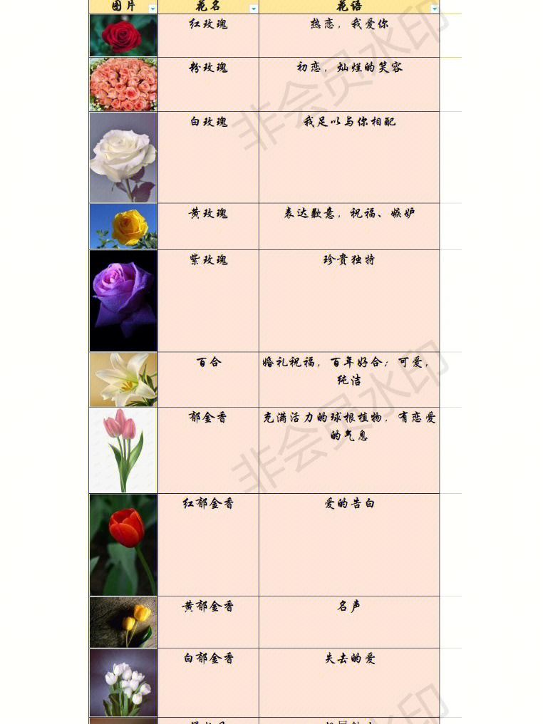 各种花的名字 花语图片