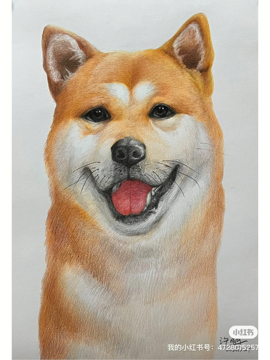 柴犬彩铅画手绘图片