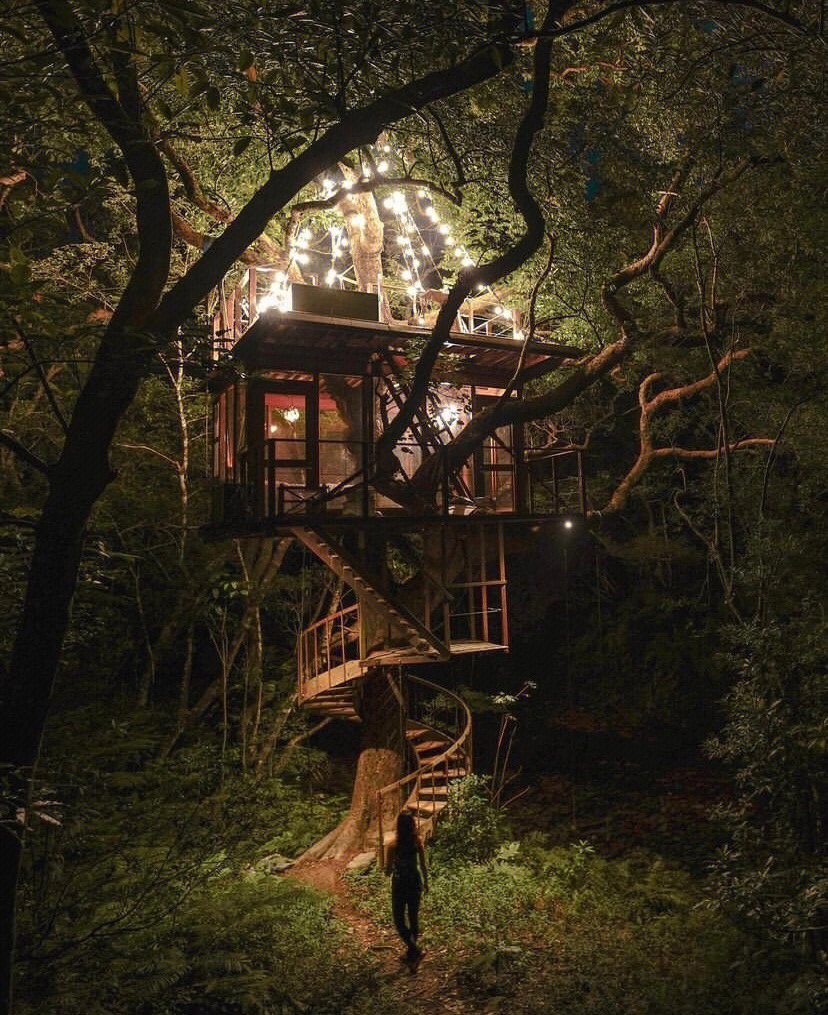 日本酒店隐藏在冲绳丛林中的树屋酒店