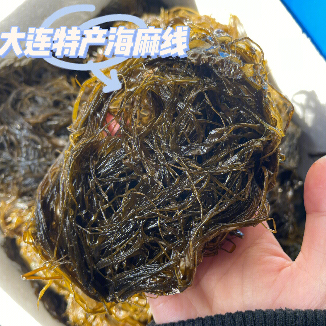 海麻线 吃法图片