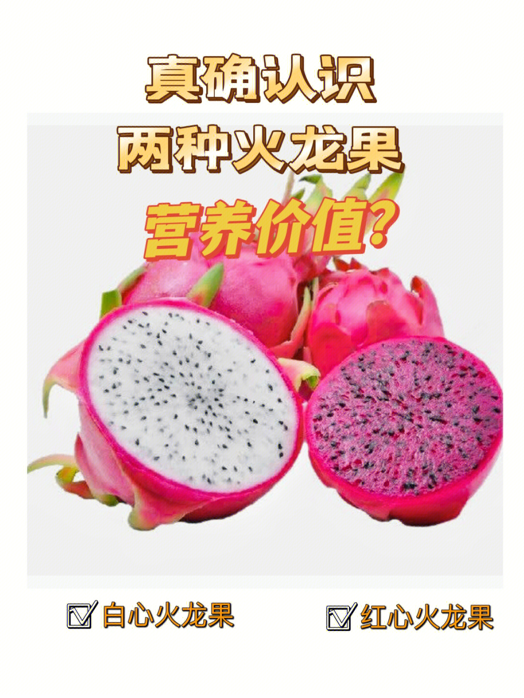 红宝龙火龙果品种介绍图片