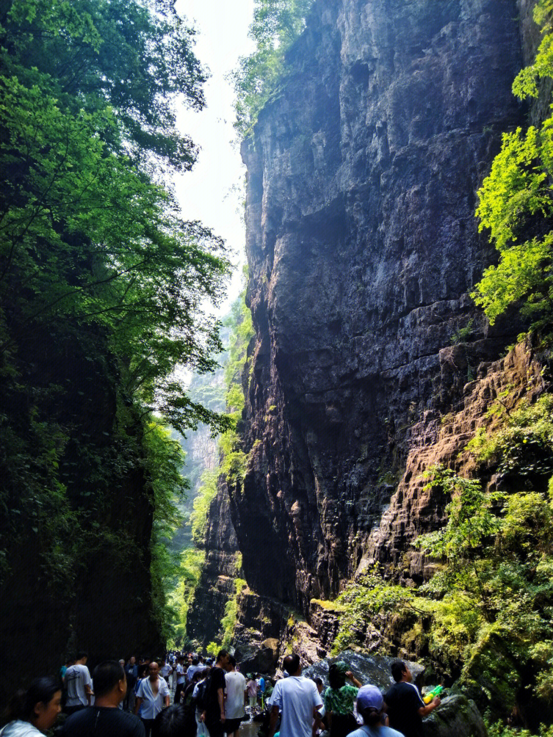 四川百里峡风景图片图片