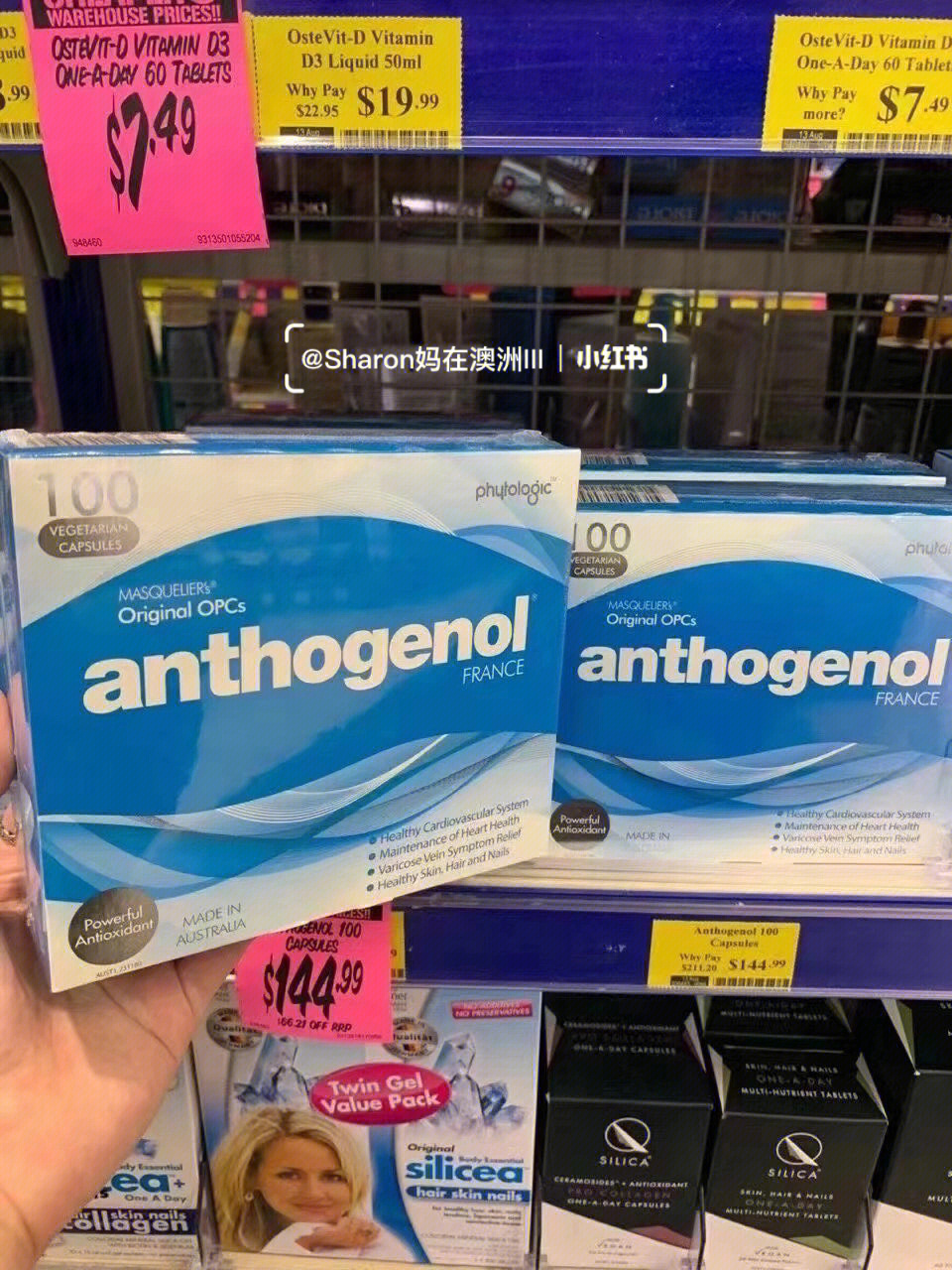 澳洲好物anthogenol月光宝盒抗氧化胶囊