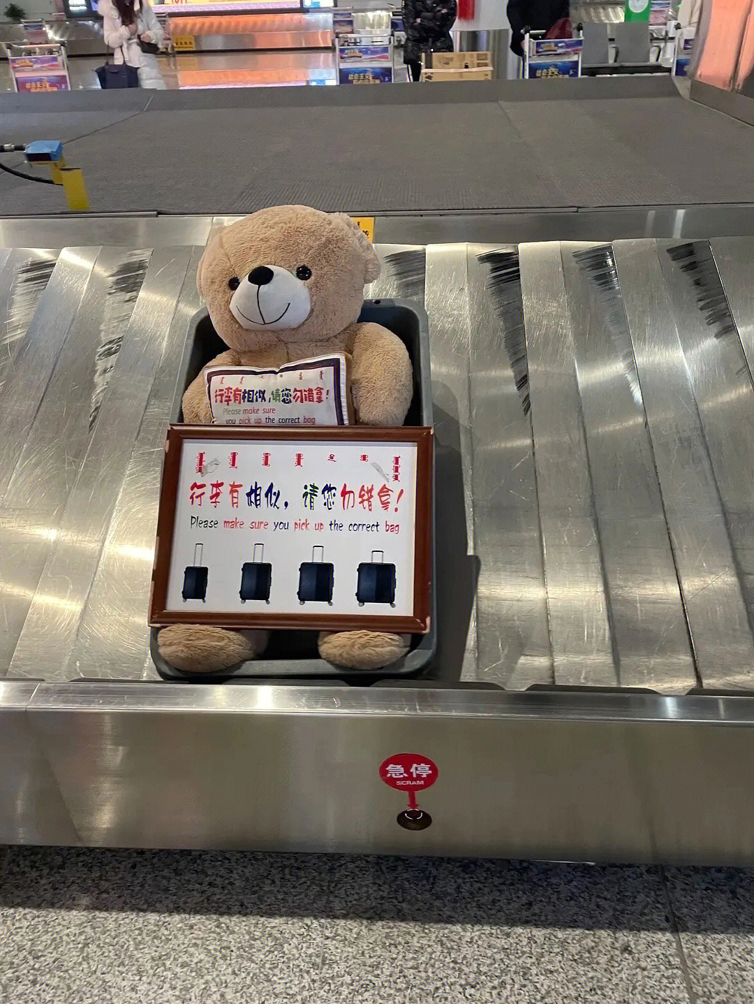 机场转盘上的可爱bear