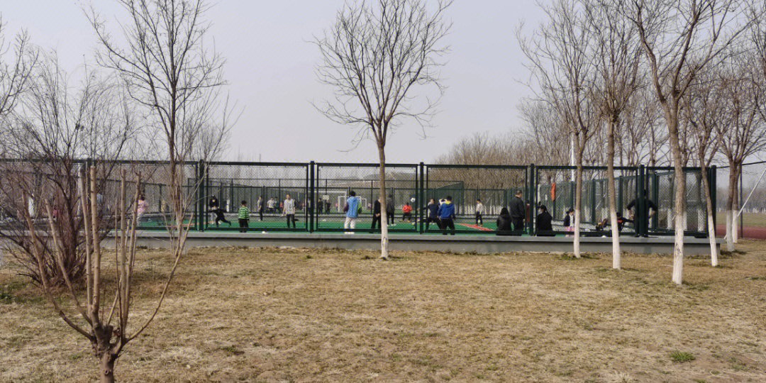 津南体育公园图片