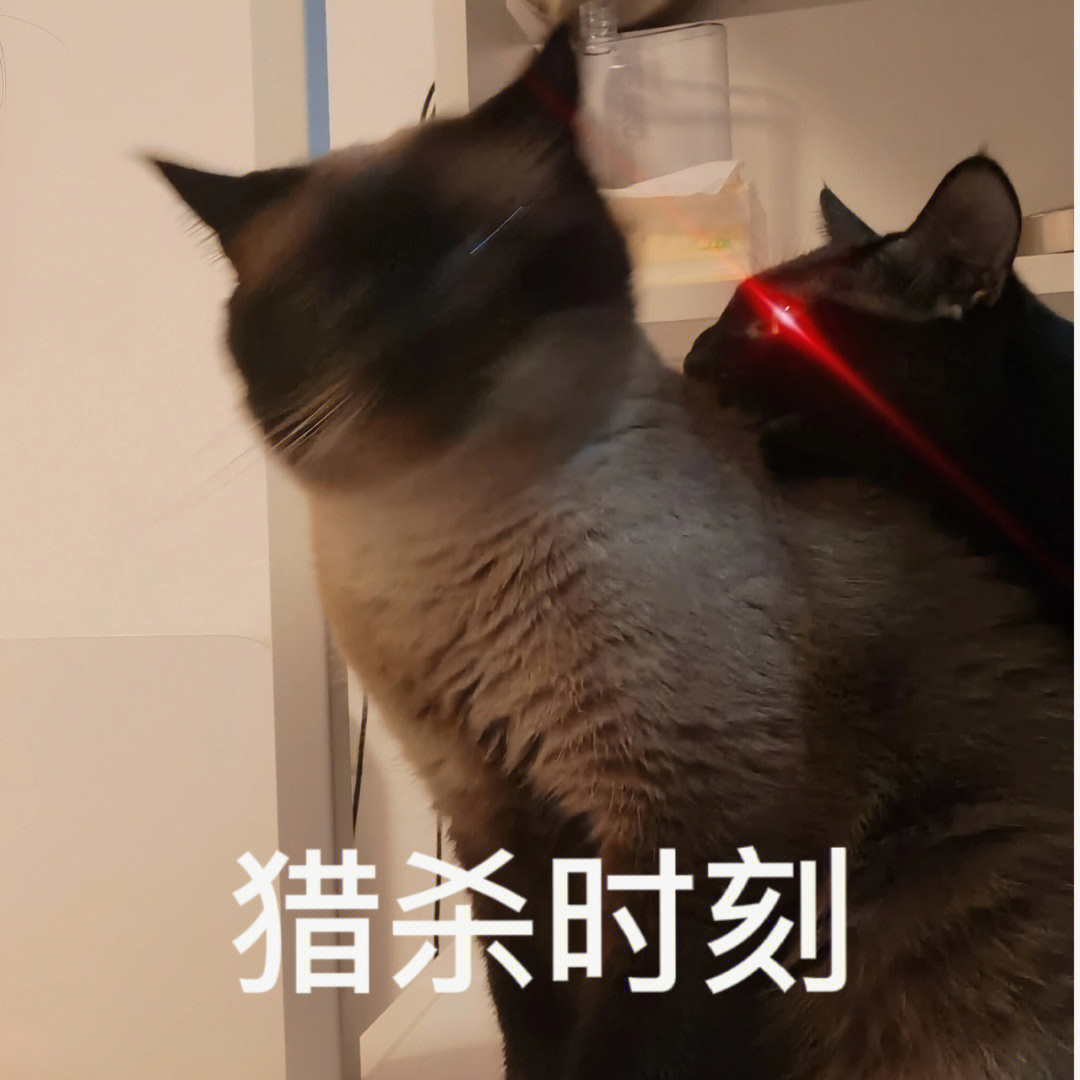 猎杀时刻红眼P图软件图片