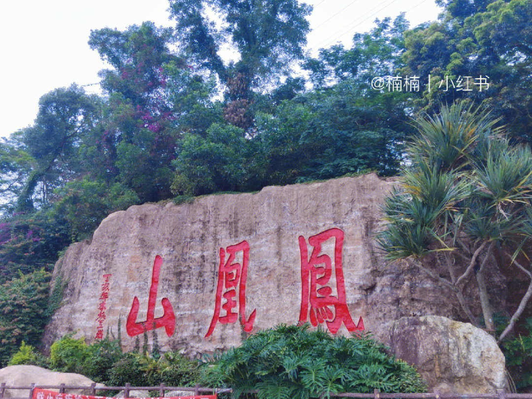 凤凰山风景区门票图片