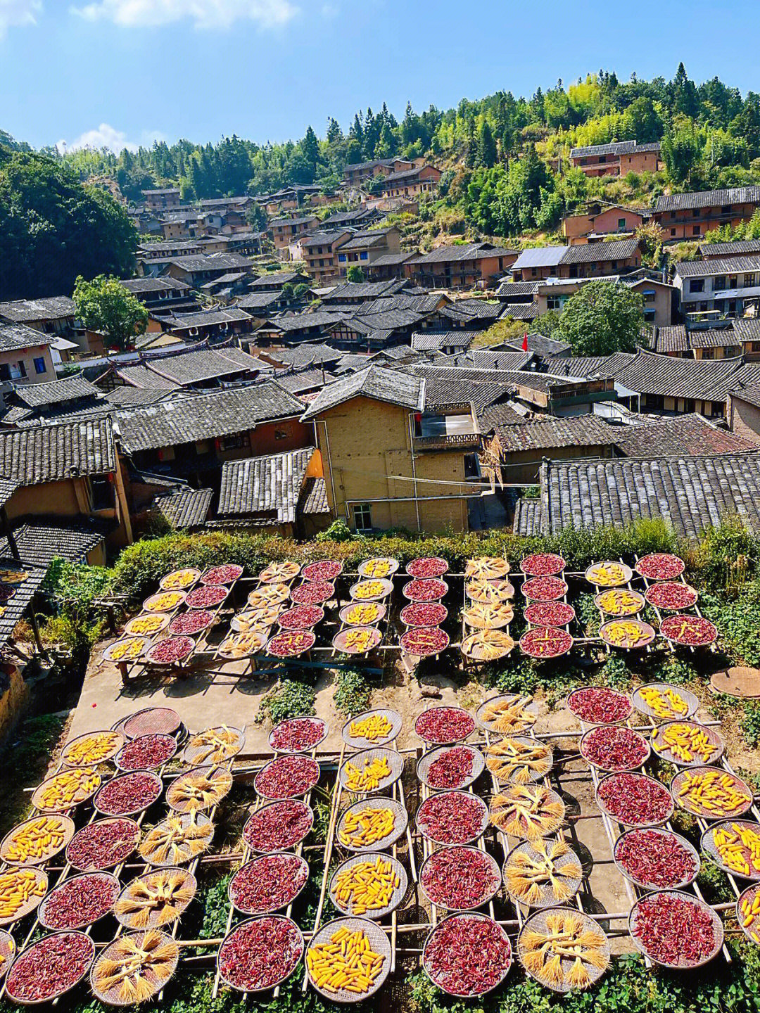 三明桂峰古村落-福建小婺源晒秋-你一定要来