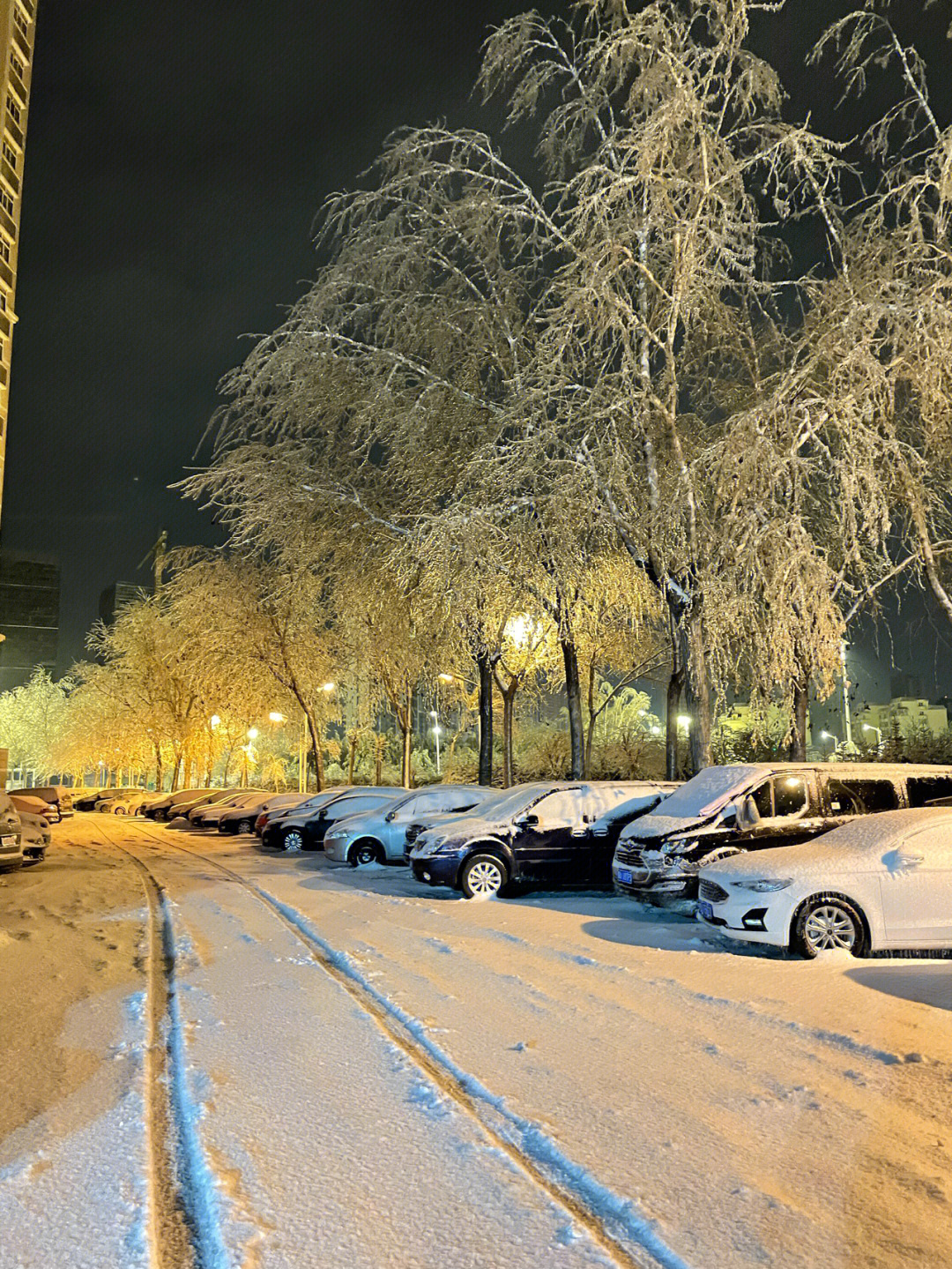 凌晨三点出门看雪07