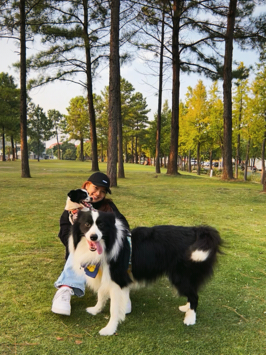 遛狗可以带狗狗玩耍的美兰湖草坪