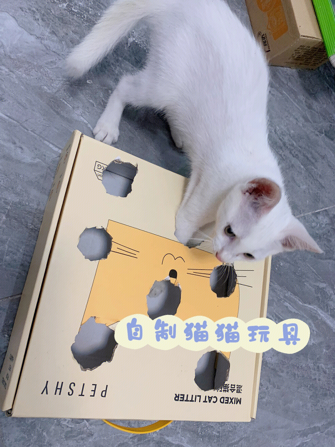 949494小猫咪突然get到这个自制玩具很好玩