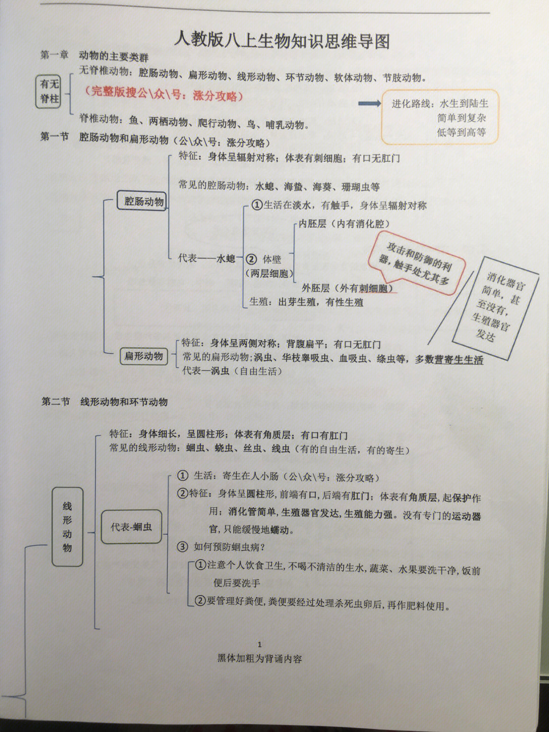 八年级上册生物思维导图知识点总结