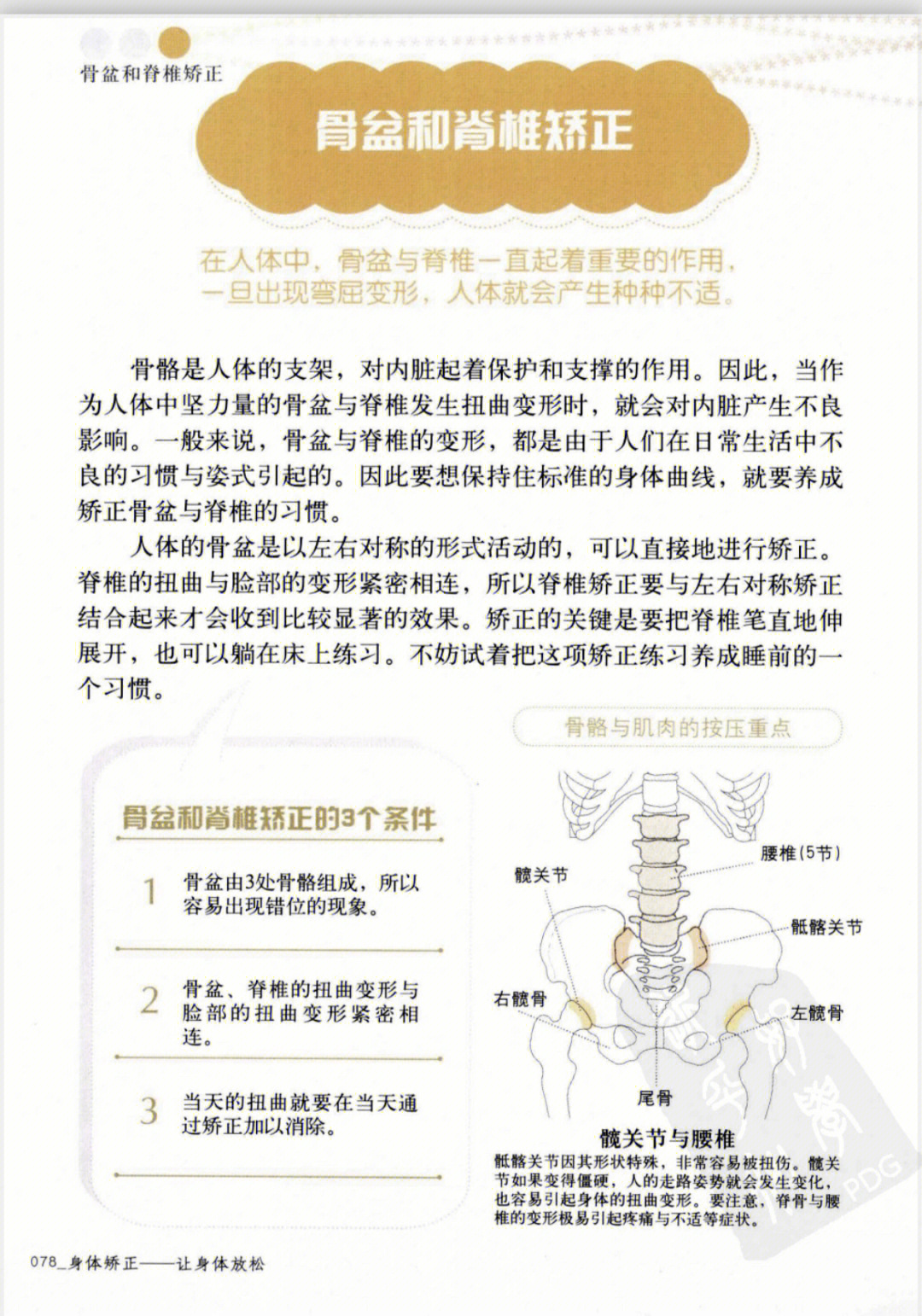 胯骨一高一低图片图片