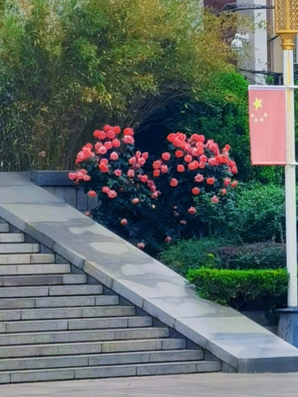 学校花坛造型效果图图片