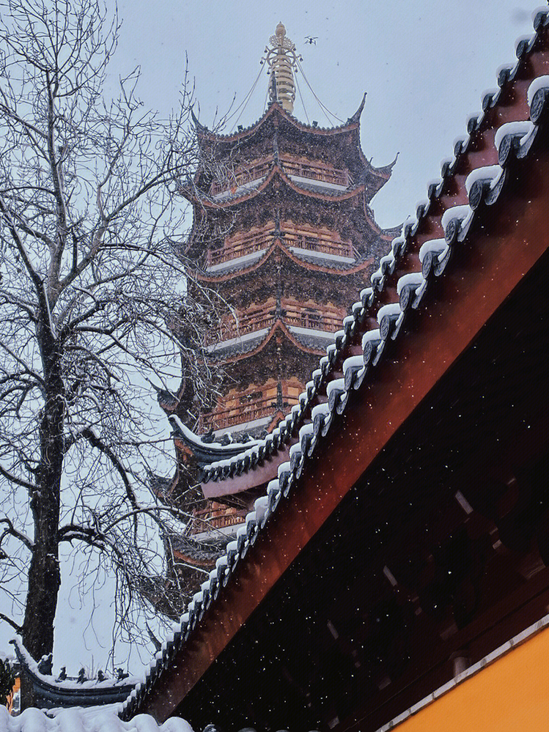 南京下雪天图片图片