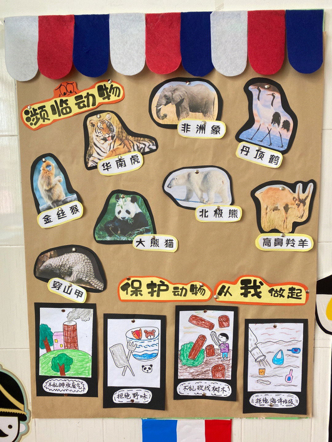 动物世界幼儿园主题墙环创