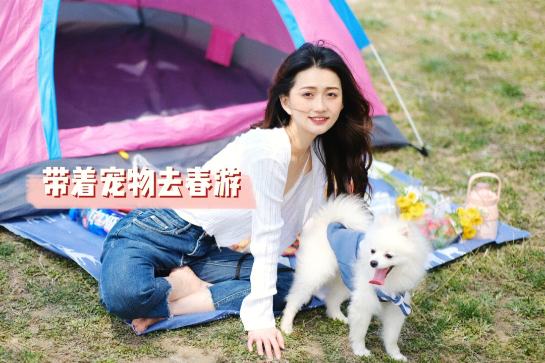 北京可以带宠物可以扎帐篷的宝藏公园60