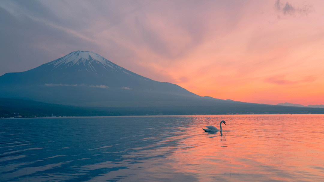 富士山下江苏卫视图片