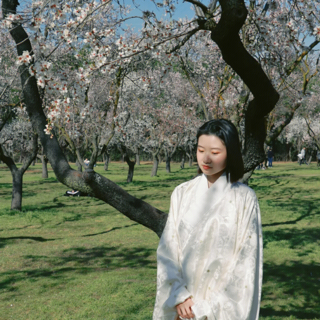 马德里杏花明制汉服