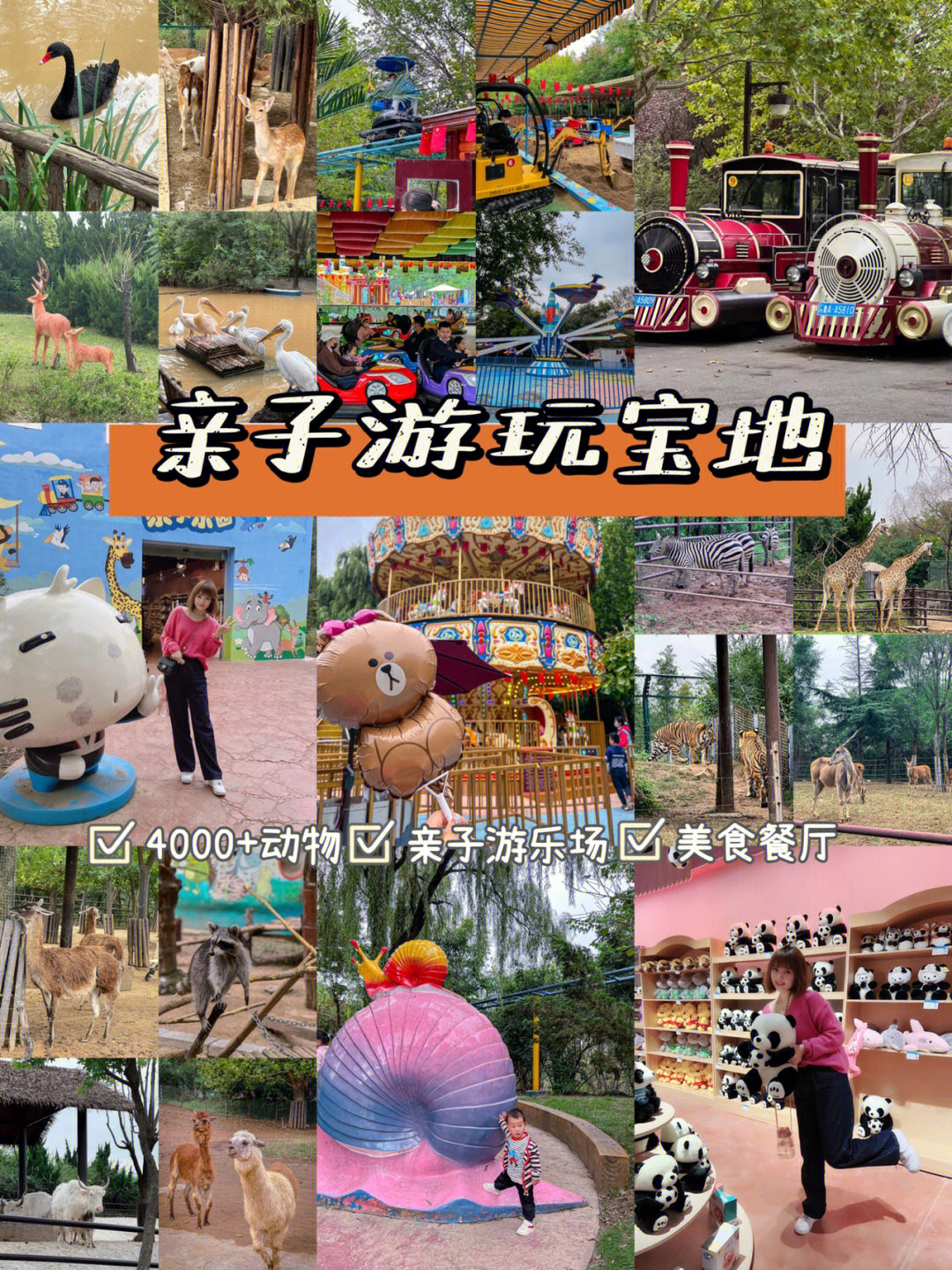 盛京荟亲子动物乐园图片