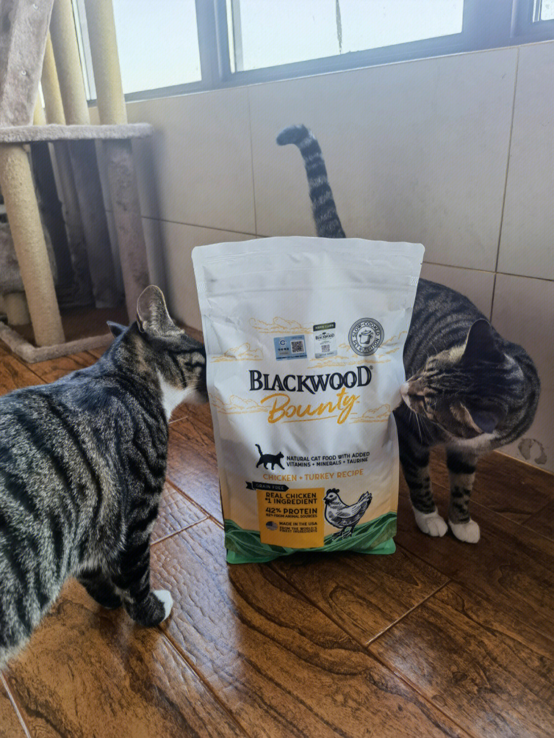 blackwood珀萃无谷鸡肉猫粮