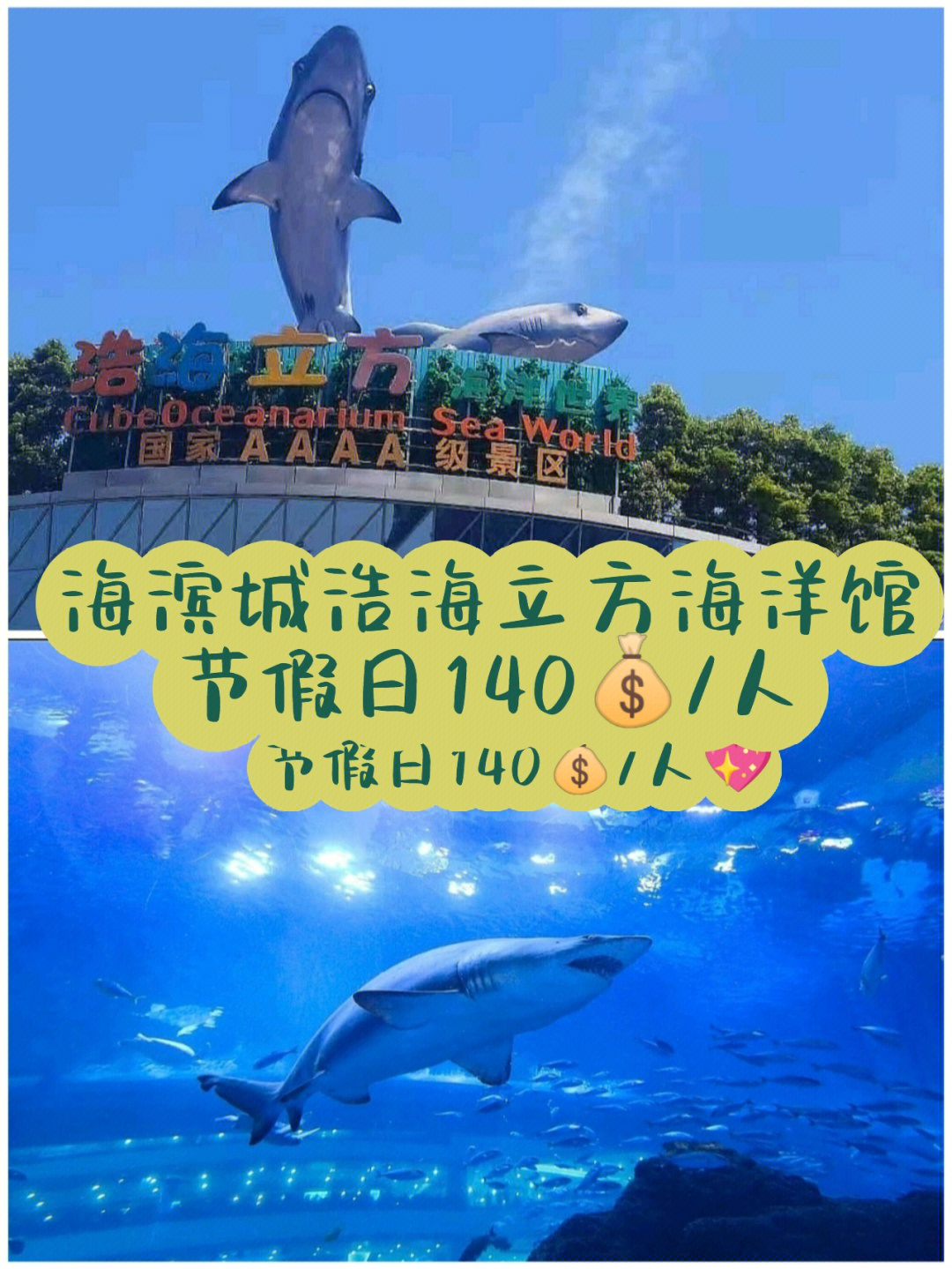 成都海滨城海洋馆门票图片