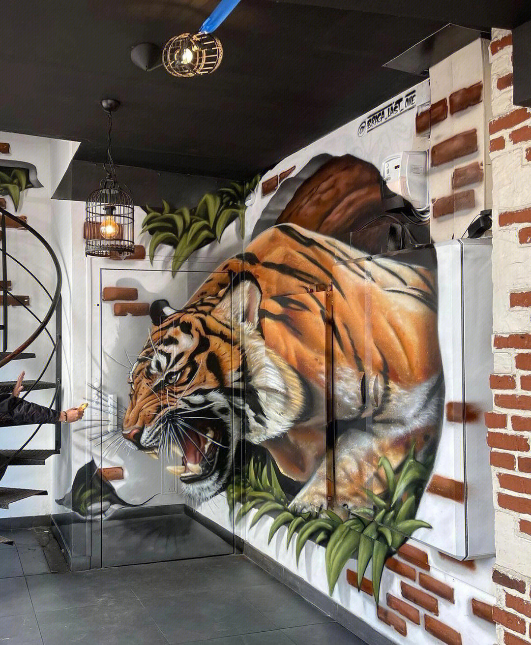 3d立体老虎涂鸦墙绘彩绘