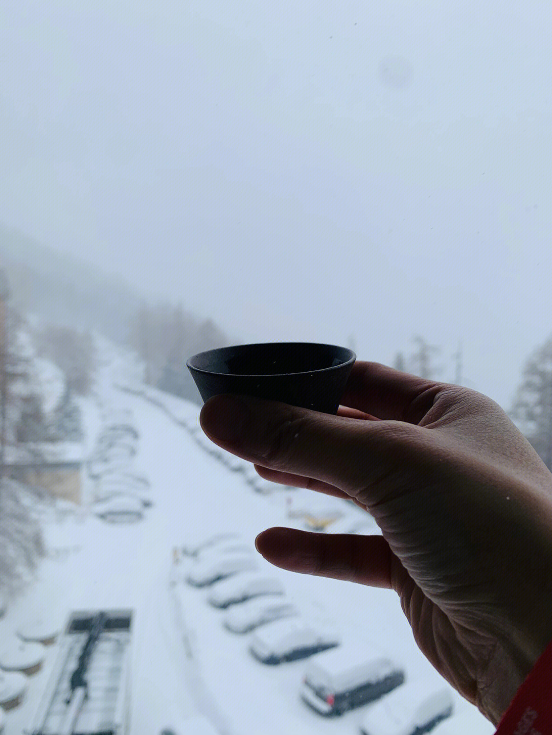 茶事一杯敬雪山一杯敬自由