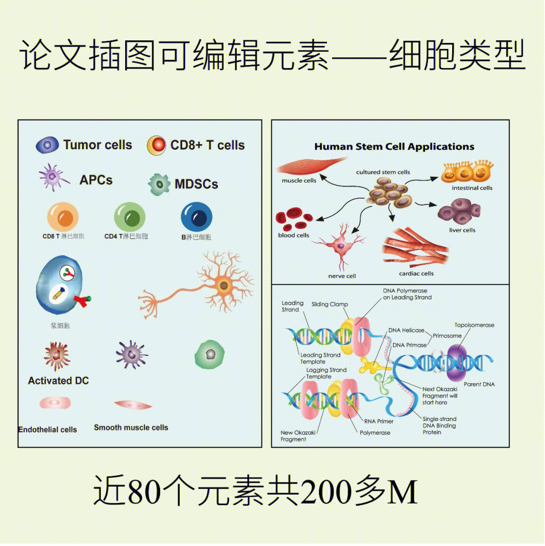 论文插图格式图片