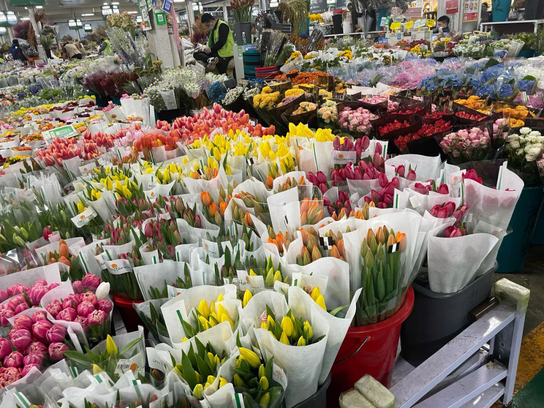 北京东边超好逛的鲜花市场