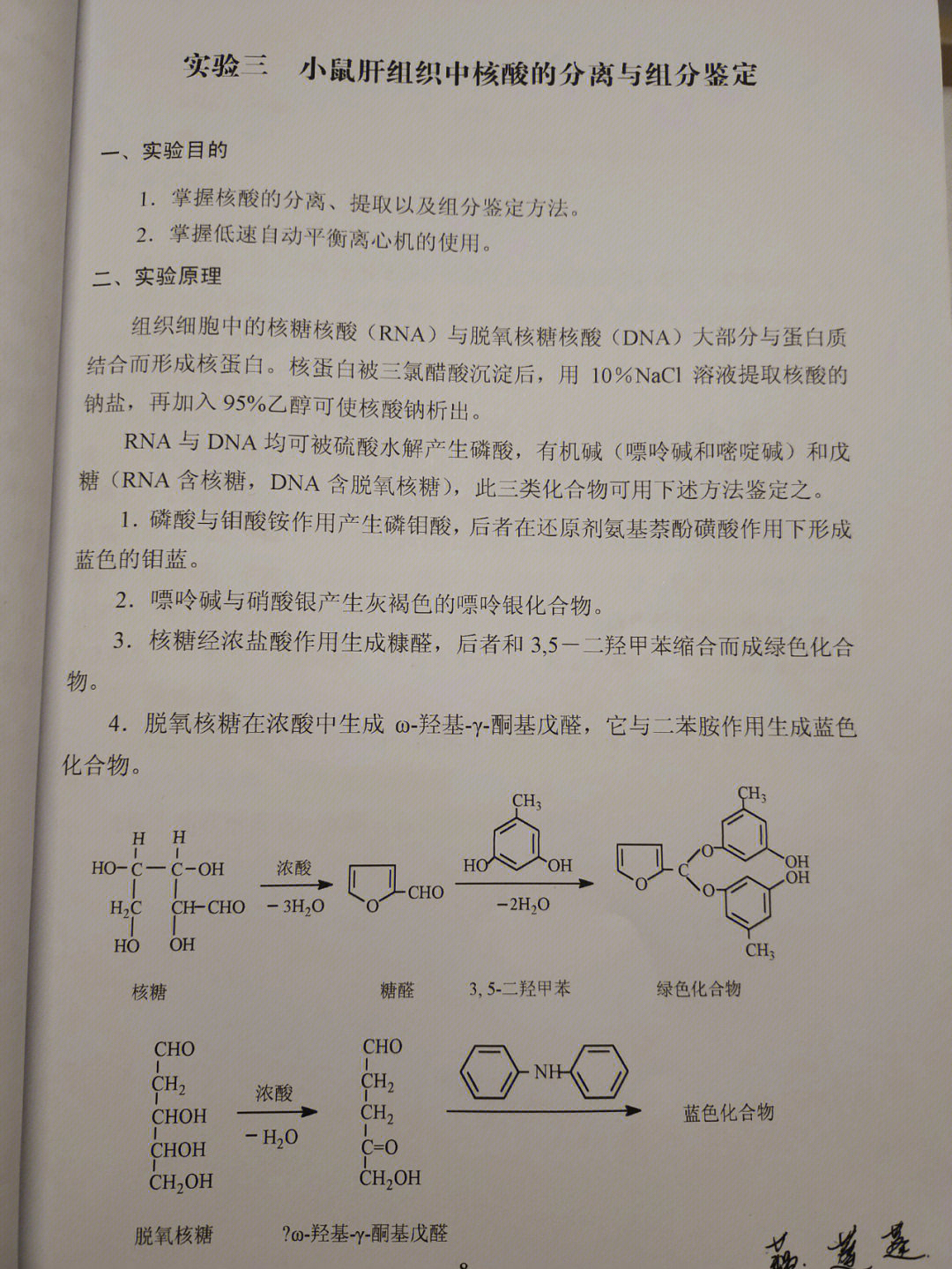 医学生  