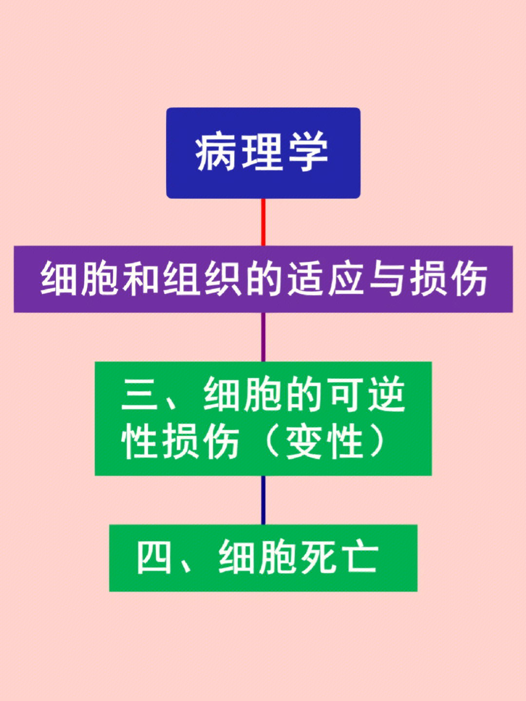 损伤的修复思维导图图片