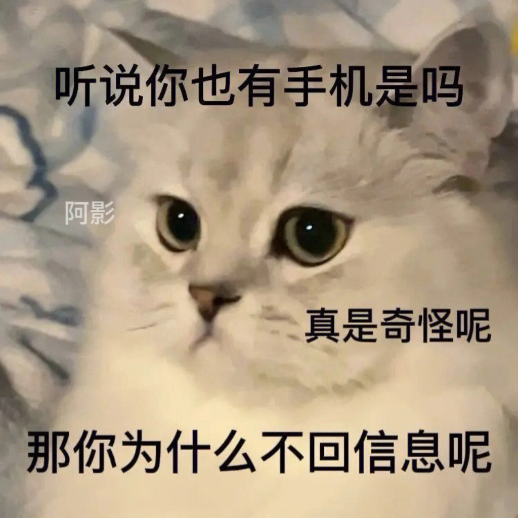 猫猫表情包#可爱头像#日常